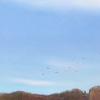 'Escarpement", mixed media on canvas, 60cm x 230cm, $2700.