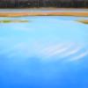 'Wet lands', oil on canvas, 200cm x 120cm, $2700.