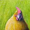Detail of 'Free Range'.