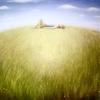 'Perfect day', oil on canvas, 120cm x 120cm, sold.